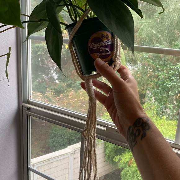 Final Sale! Gorgeous macrame cotton plant holder - Picture 3 of 3